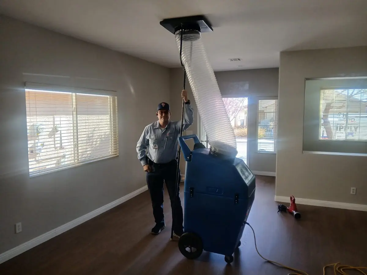 Professional Dryer Vent Cleaning work inside a Saraland home